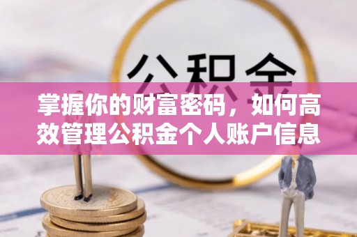 昭化掌握你的财富密码，如何高效管理公积金个人账户信息
