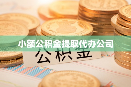 昭化小额公积金提取代办公司