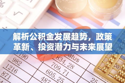 昭化解析公积金发展趋势，政策革新、投资潜力与未来展望
