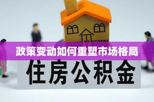 昭化政策变动如何重塑市场格局