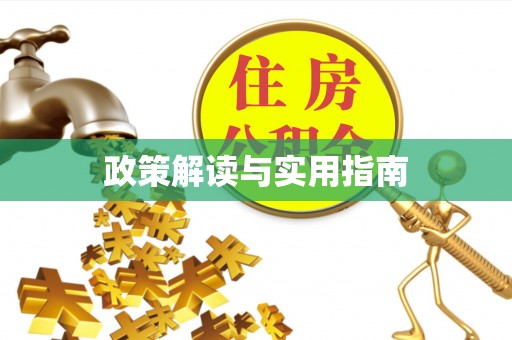 昭化政策解读与实用指南