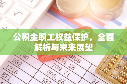 昭化公积金职工权益保护，全面解析与未来展望