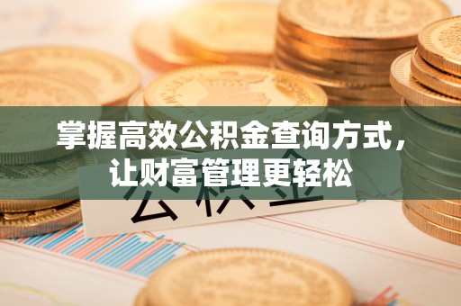 昭化掌握高效公积金查询方式，让财富管理更轻松
