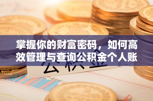 昭化掌握你的财富密码，如何高效管理与查询公积金个人账户信息