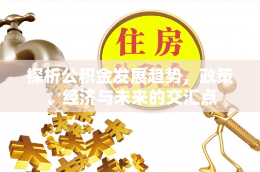 昭化探析公积金发展趋势，政策、经济与未来的交汇点